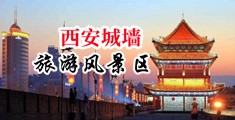 女人的大鸡吧在线中国陕西-西安城墙旅游风景区